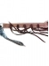 Peitera  3 Pontas Modelo Select
